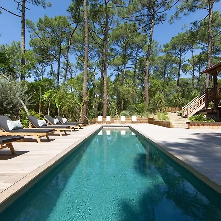 فيلة Amazing - Cap Ferret !